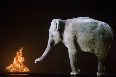 Az éjszaka csodái Az éjszaka csodái