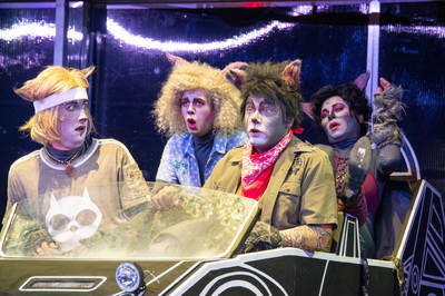 Macskafogó Macskafogó