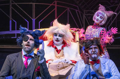 Macskafogó Macskafogó