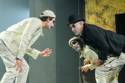 A makrancos hölgy A makrancos hölgy