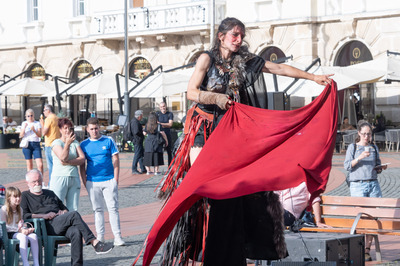 Pentesilea Pentesilea