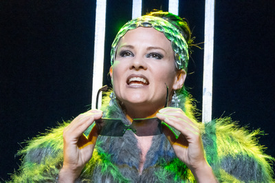 Pénelopeia Pénelopeia