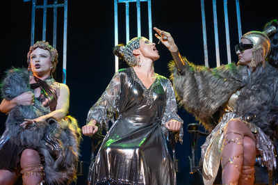 Pénelopeia Pénelopeia