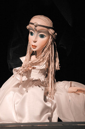 Barackvirág Barackvirág