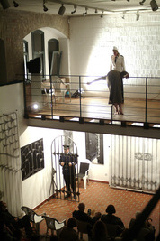 Artemis diadala Artemis diadala